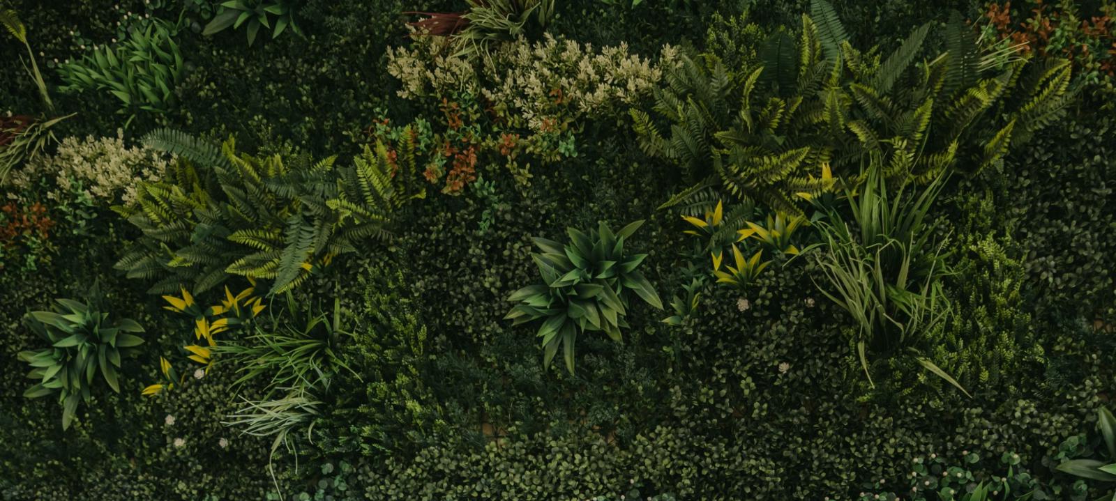unnamed image